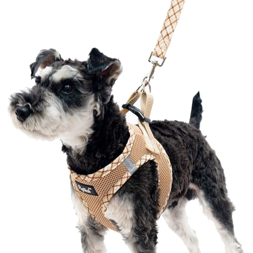 PUPTECK Dog Harness and Leash Set for Small Medium Dogs No Pull Step-in Soft Mesh Puppy Cat Vest Harnesses Reflective at Night, Beige XS - color: #1 Beige(Basic Mesh), size: XS(CHEST 13"-14.5", 3-9 lbs)