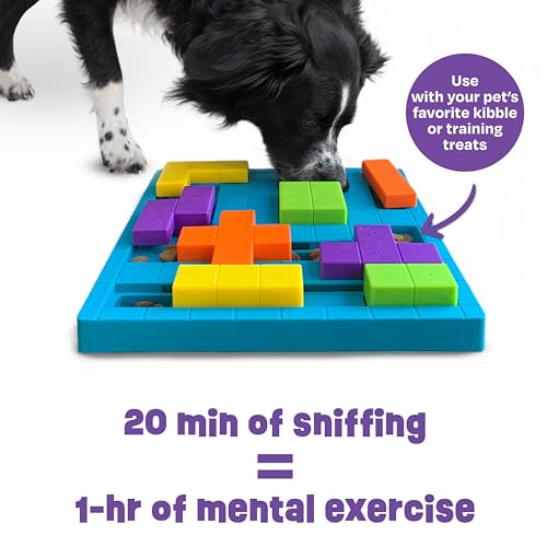 Brightkins Brain Teaser Treat Puzzle - Dog Puzzle Toys, Interactive Dog Toys, Gifts for Dogs - size: (Pack of 1)