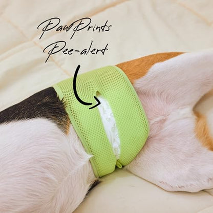 WICKEDPUP Male Dog Belly Band Kit, 50 Diaper Pads & 1 Reusable Male Wrap (Size 2 (17.5"-21.5" Waist)) - size: Size 2 (17.5"-21.5" Waist)
