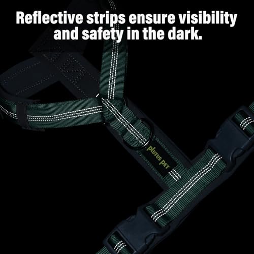 Plutus Pet No Pull Dog Harness, Adjustable Nylon Harness with Soft Padding, Reflective and Heavy Duty Dog Harness for Small, Medium, Large Dogs(Teal, M) - color: Teal, size: M