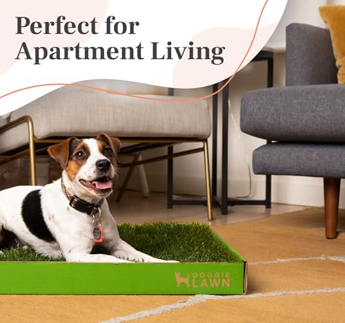 DoggieLawn Real Grass Puppy Pee Pads- 24 x 24 Inches - Perfect Indoor Litter Box for Dogs - No Mess, Easy-to-Use - Potty Training for Pets - Disposable Bathroom with Real Living Grass - size: Large 24x24 inches