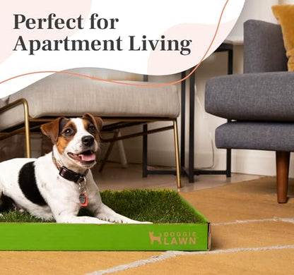 DoggieLawn Real Grass Puppy Pee Pads- 24 x 20 Inches - Perfect Indoor Litter Box for Dogs - No Mess, Easy-to-Use - Potty Training for Pets - Disposable Bathroom with Real Living Grass - size: Medium 24x20 inches