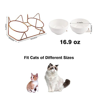Trosetry Cat Bowls, Double Ceramic Pet Bowls with 15°Tilted Raised Stand for Food and Water, Anti Vomiting Cat Dish Feeder, Perfect for Puppy Cats and Small Dogs(Double Bowls1)