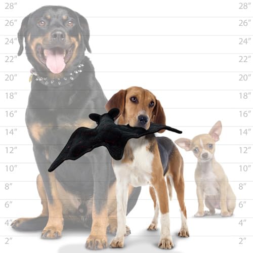 World's Tuffest Soft Dog Toy - Desert Bat - Squeakers - Multiple Layers. Made Durable, Strong & Tough. Interactive Play (Tug, Toss & Fetch). Machine Washable & Floats - color: Black Bat
