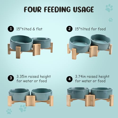 SPUNKYJUNKY 15° Slanted Ceramic Dog and Cat Bowl with Wooden Stand, Tilted Bulldog Food and Water Bowl No Slip Non-Spill for Cats Medium Dogs Big Face Pets 13.5 OZ (1.7 Cups, Light Green × 2) - color: Light Green, size: 1.7 CUPS × 2