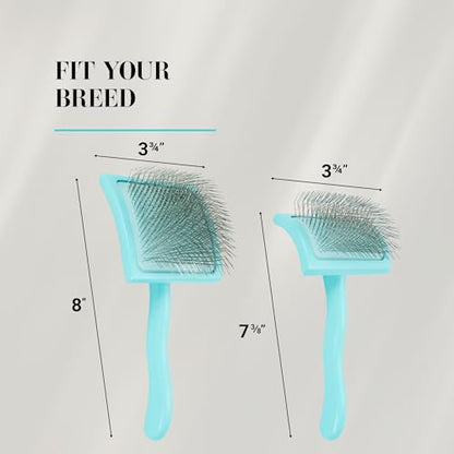 Chris Christensen Big G Dog Slicker Brush for Dogs (Goldendoodles, Labradoodles, Poodles), Groom Like a Professional, Fluff Detangle Style, Saves Time Energy, Teal, Medium - color: Teal, size: Medium