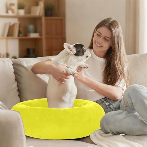 Sunny Yellow Solid Color Calming Dog Bed for Cats & Small Medium Dogs, Washable Plush Round Donut Pet Bed with Soft Raised Rim, 20 inches Warm Anti-Slip Cushio - size: 20 inch