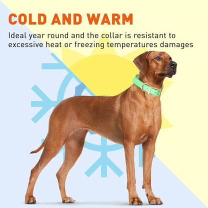 Viper Biothane Heavy Duty Waterproof Dog Collar Strong Coated Nylon Webbing w/Solid Brass Hardware Odor-Proof Easy to Clean High Performance Fits Small Medium or Large Dogs, Sea Foam Green