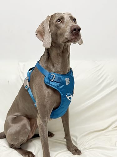 No Pull Dog Harness Front Clip Heavy Duty Reflective Easy Control Handle for Small Medium Large Dog (Blue, M) - color: Blue, size: M