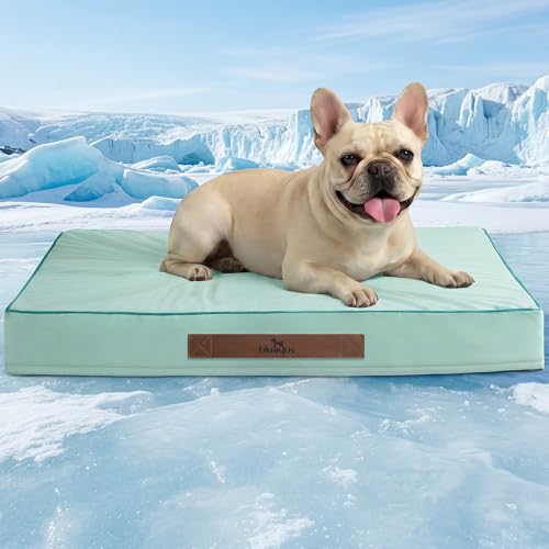 Cooling Dog Bed for Small, Medium Dogs & Cats, 24 x16 Inch Orthpedic Cooling Mat Pet Beds with Removable Washable Cover, Breathable Egg Crate Foam Anti-Slip Pet Mat, Light Aqua - color: Light Aqua, size: 24''x16''x3''
