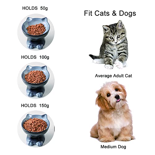 Nihow Elevated Cat Bowls,6 Inch Ceramic Raised Cat Food and Water Bowl Set | Slanted,Whisker Friendly,for Protecting Pet's Spine,Microwave & Dishwasher Safe ,Elegant Gray,6.8 OZ - color: Gray, size: 6.8 OZ+15.5 OZ