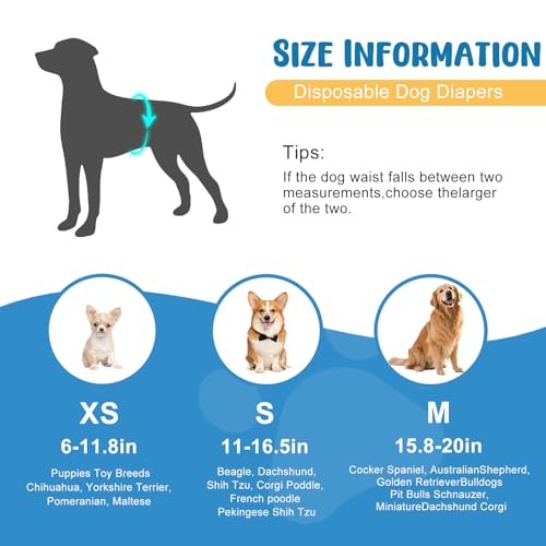 Dog Diapers Male 80 Count Belly Bands for Male Dogs M, Male Dog Diapers Disposable with Wetness Indicator Adjustable Male Dog Wraps Super Absorbent Leak-Proof for Incontinence Marking - Blue - size: M