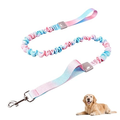 Dog Leash for Small to Medium Dogs, Shock Absorbing Dog Leashs, Dog Walking Leash, Dog Training Leashs, Ombre Color， 4-5.5 Feet(Pink-Blue Ombré) - color: Pink-Blue Ombré