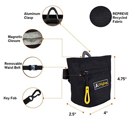 OllyDog Dog Treat Bag with Belt Clip, Atlantic, One Size - color: XAtlantic