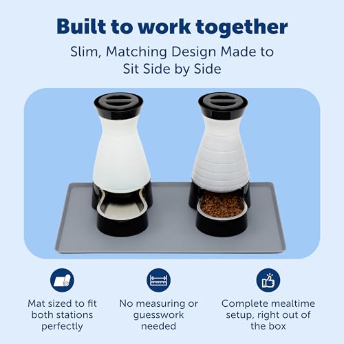 PetSafe Healthy Pet Food and Water Station with Waterproof Silicone Mat - Automatic Gravity Food and Water Dispenser for Cats and Dogs - BPA-Free Reservoir - Removable Stainless Steel Bowl - Medium - size: Medium