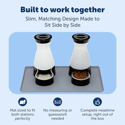 PetSafe Healthy Pet Food and Water Station with Waterproof Silicone Mat - Automatic Gravity Food and Water Dispenser for Cats and Dogs - BPA-Free Reservoir - Removable Stainless Steel Bowl - Medium - size: Medium