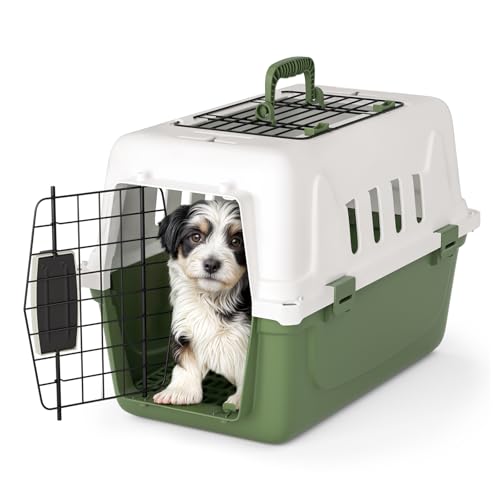 Magshion 18 Inch Pet Carrier Hard-Sided Dog Carrier with Top and Front Door Access, Plastic Dog Kennel for Longer Traveling, Durable Handle and 4 Sides Ventilation for Pet Up 10 lbs (White+Green) - color: White+Green, size: 18.0"L x 10.5"W x 12.0"H