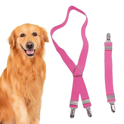 Dog Suspenders for Diapers Female,2pcs Adjustable Pet Nappy Antislip Suspenders | DeiaFixing Tool, DiaKeeper, pet Nappy Strap, Dog Dress - color: 1XL