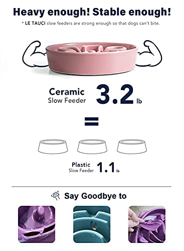 LE TAUCI Slow Feeder Dog Bowls Ceramic, 1.5 Cups Dog Food Bowl, Puppy Slow Feeder Dish for Fast Eaters,Pink Bloom - color: Pink Bloom, size: M-1.5 Cups