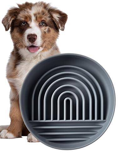 Modern Rainbow Pet Slow Feeder Bowl, Silicone Slow Feeder for Dogs & Puppies, Slow Eating, Modern Lick Mat Design, Reduces Gulping, Dishwasher Fit, for All Breed, Durable Mealtime Puzzle (Slate)