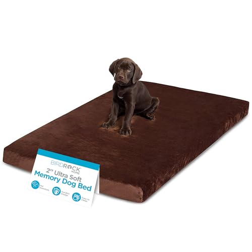 BIRDROCK HOME 2" Memory Foam Dog Beds | Ultra Soft Plush Pet Bed | Removable Cover | Pet | Crate Bed (40 X 26, Brown) - size: Large