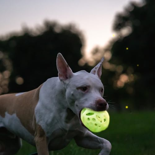 Chew King by Mammoth Glow-in-the-Dark Dog Fetch Balls (2-Pack), Lattice Rubber Fetch Toys for Night Play, High Bounce, Rechargeable Under Any Light, Large 4.5" - color: E) 2-Pack Lattice (4.5" Balls)