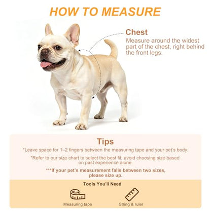 BEAUTYZOO Adjustable No Pull Dog Harness and Leash Set, Linen Style Woven Webbing Step-in Harness, Breathable Pet Vest for Small Medium Dogs Walking Training, Green M - color: Green, size: M(Chest:17.3-23.4")