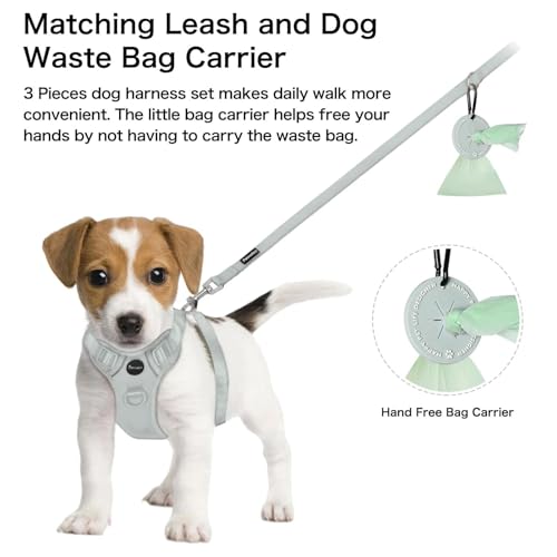 Petmolico No Pull Cute Dog Harness for Small Dogs, with Two Leash Clips and Soft Handle, Reflective Easy Walk Dog Harness- Light Green,Small - color: Light Green, size: Small