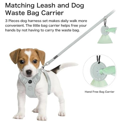 Petmolico No Pull Cute Dog Harness for Small Dogs, with Two Leash Clips and Soft Handle, Reflective Easy Walk Dog Harness- Light Green,Small - color: Light Green, size: Small