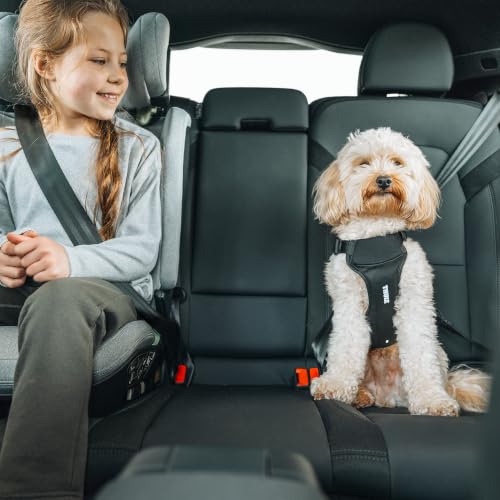 Thule Cappy Dog Harness S - Crash-Tested for Safety - Seatbelt passthrough - Adjustable & Easy to Clean - Padded Breathable mesh Panels - Leash Loop - Step-in Design - size: Small