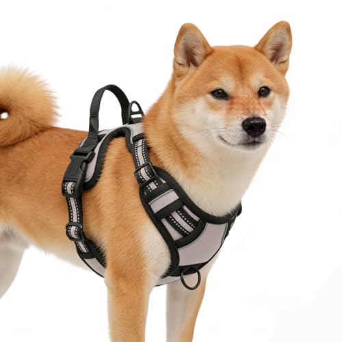 Gray No-Pull Dog Harness with 2 Leash Clips，Soft Padded Vest for Small Dog, Adjustable Reflective Dog Vest Easy to Put on and Take Off,(Neck: 13"~17", Chest: 17"~21",Gray Small) - color: Gray, size: Small