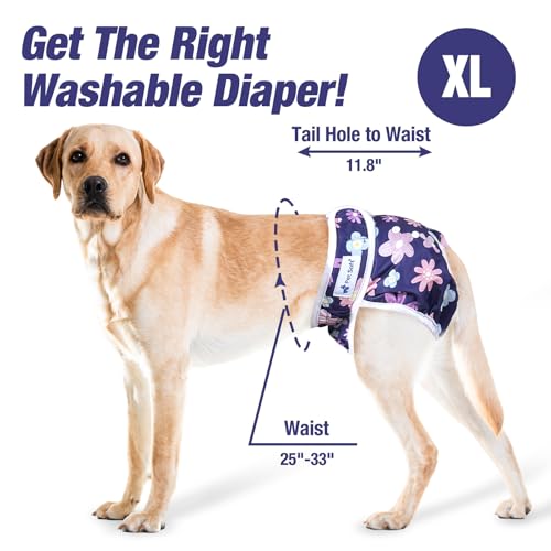 Pet Soft Washable Female Diapers (3 Pack) Female Dog Diapers, Comfort Reusable Doggy Diapers for Girl Dog in Period Heat (Bloom, XL) - size: X-Large:25''-33''