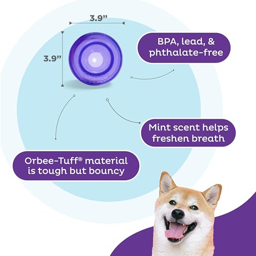 Outward Hound by Planet Dog Lil' Snoop Dog Toy – Treat‑Dispenser Puzzle Ball, Interactive Slow Feeder, Small to Medium Dogs, Bouncy & Mint-Infused, Purple, 3.9" - color: Purple Lil Snoop