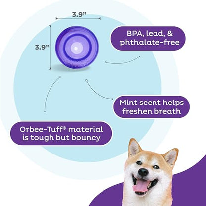 Outward Hound by Planet Dog Lil' Snoop Dog Toy – Treat‑Dispenser Puzzle Ball, Interactive Slow Feeder, Small to Medium Dogs, Bouncy & Mint-Infused, Purple, 3.9" - color: Purple Lil Snoop