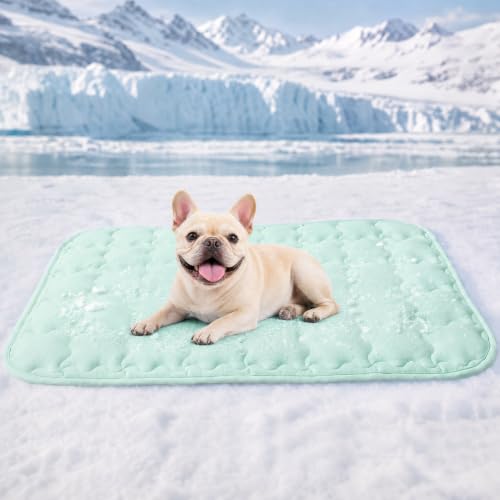 Luciphia Premium Dog Cooling Mat Non-Slip Q-MAX>0.5 Self-Cooling Pad for Small Pet Cat Indoor Portable Kennel Puppy Bed for Summer Crate Pad for Dog Washable Green 20x30 inches - color: Green, size: 20x30 inches