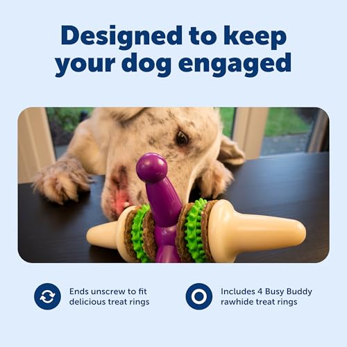 PetSafe Busy Buddy Jack - Treat Holding Dog Chew Toys - Helps Clean Teeth - Vanilla Scented Rubber for Strong Chewers - Treat Refills Included - Interactive Dog Toy Keeps Dogs Busy - Purple, Large - size: Large, style: Jack