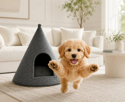Indoor Dog House for Medium Small Sized Dogs - Dog Tent with Washable Removable Cover, Dog Cave Bed Foam Cushion, Inside Dog House Large Space (Medium)