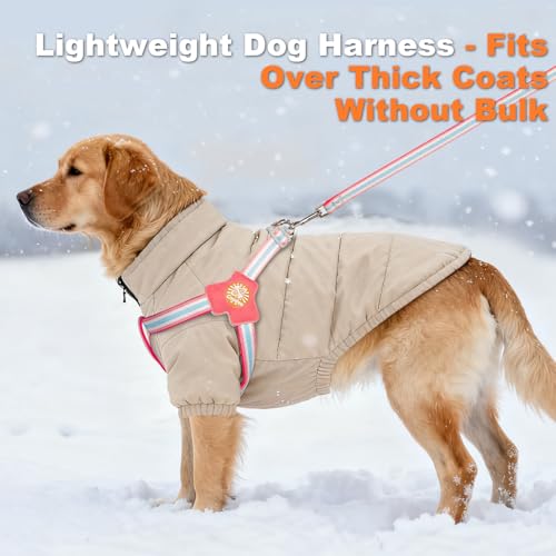COODEO Anti-Pull Dog Harness with Reflective Strips & Breathable Padding & Anti-Escape Design, Quick Adjustable Dogs Training & Walking (Pink, L) - color: Pink, size: L