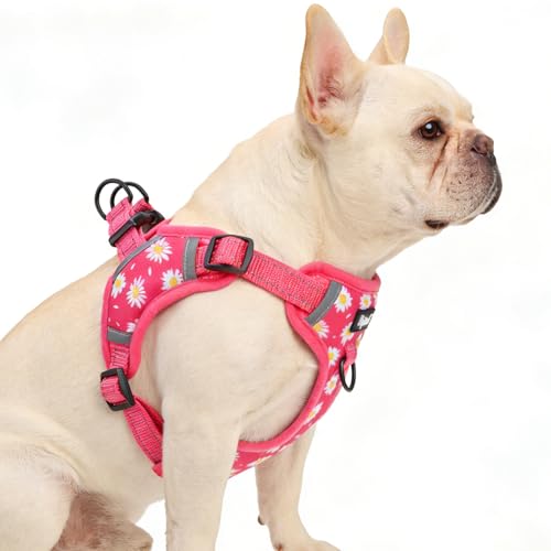 PUPTECK Dog Harness Small Sized Dog, Step in Adjustable Reflective Dog Vest Harness Escape Proof, No Pull Soft Padded Harness Easy Control, Fuschia, M - color: Fuschia(Daisy), size: M (CHEST: 14.5"-20")