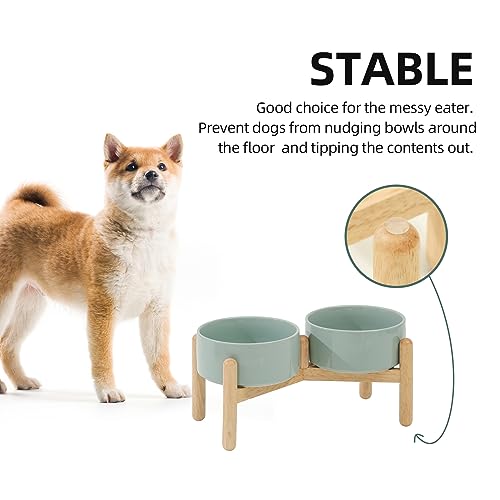 Havniva 6.1inch Ceramic Raised Dog Bowl with Stand, Double Dog Bowls Elevated for Small and Medium Breed Dog Food and Water Bowl Set Non-Slip Dog Dish Large Capacity Feeding Pet Water Bowl - color: 2 Bowls+Stand - Light Green, size: 6.1inch