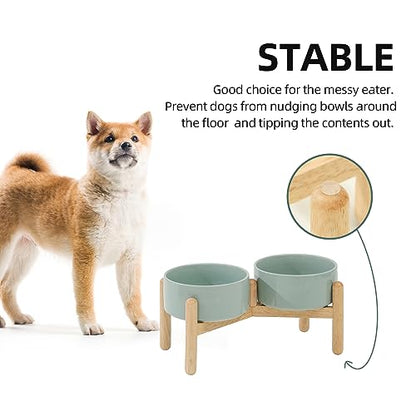 Havniva 6.1inch Ceramic Raised Dog Bowl with Stand, Double Dog Bowls Elevated for Small and Medium Breed Dog Food and Water Bowl Set Non-Slip Dog Dish Large Capacity Feeding Pet Water Bowl - color: 2 Bowls+Stand - Light Green, size: 6.1inch