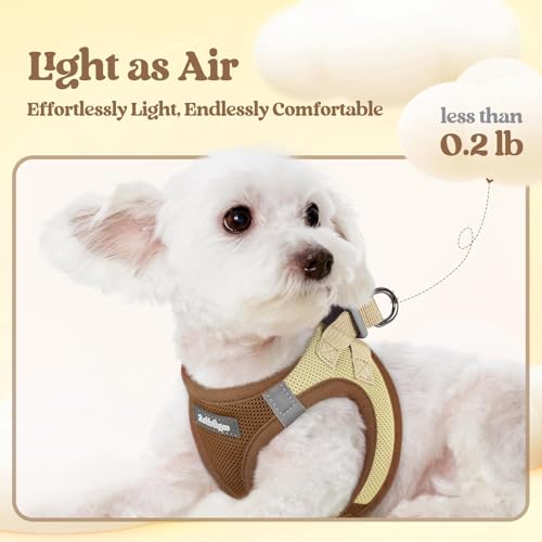 rabbitgoo Dog Harness Small Sized and Leash Set, Step in Soft Light Puppy Vest, Breathable Mesh Pet Harness, Reflective for Safe Easy Walking, Brown & Beige XXS - color: Brown & Beige, size: Xxs (chest: 12.4 - 14.2")