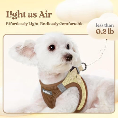 rabbitgoo Dog Harness Small Sized and Leash Set, Step in Soft Light Puppy Vest, Breathable Mesh Pet Harness, Reflective for Safe Easy Walking, Brown & Beige XXS - color: Brown & Beige, size: Xxs (chest: 12.4 - 14.2")