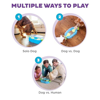 Outward Hound Nina Ottosson Paw N' Play Interactive Dog Treat Puzzle, Level 2 Intermediate Dog Enrichment Dog Toy, Blue, Small - color: Paw N' Play (Blue)