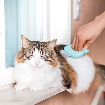 Leo's Paw The Original Pet Hair Removal Massaging Shell Comb Soft Deshedding Brush Grooming and Shedding Matted Fur Remover Dematting tool for Long and Short Hair Cat Dog Puppy Bunny (Mint) - color: Mint