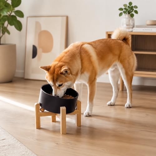 hjn Elevated Ceramic Dog Bowl/Raised Ceramic Dog Bowls with Bamboo Stand, 15°Slanted Raised Pet Feeder for Small Medium Dogs and Cats, Non-Slip Heavy Weighted Design (Black, 3.6Cup) - color: Black, size: 3.6Cup