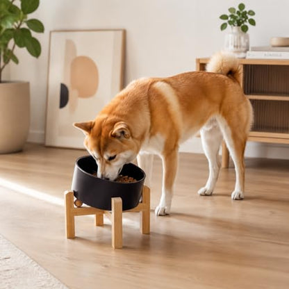 hjn Elevated Ceramic Dog Bowl/Raised Ceramic Dog Bowls with Bamboo Stand, 15°Slanted Raised Pet Feeder for Small Medium Dogs and Cats, Non-Slip Heavy Weighted Design (Black, 3.6Cup) - color: Black, size: 3.6Cup