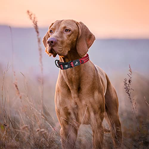 Kruz Dog Collar for Large Dogs (Width - 1", Length - 21"-25") Reflective Adjustable Pet Neck Band with Soft Padding, Heavy-Duty O-Ring, 100% Nylon Strap (Red, Large) - color: Red, size: Large