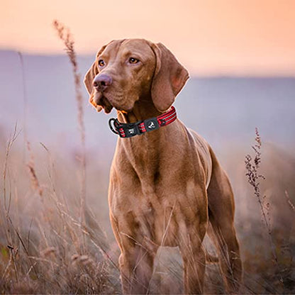 Kruz Dog Collar for Medium Dogs (Width- 3/4", Length - 17"-21.5") Reflective Adjustable Pet Neck Band with Soft Padding, Heavy-Duty O-Ring, 100% Nylon Strap (Raspberry Pink, Medium) - color: Raspberry pink, size: Medium