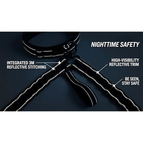 X11PAWS - Heavy Duty Dog Leash Hands Free Bungee | Two Large Dogs Up to 250 lbs | Comfortable Shock Absorbing Bungee | Reflective Dual Padded Handles | Lumbar Waist Belt 24-42" | 360° Swivel Clips